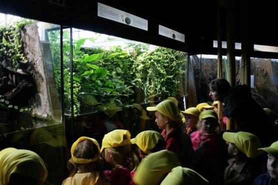 Grafika #58: 04.06.2012 - Wycieczka do Oceanarium w Gdyni cz.II