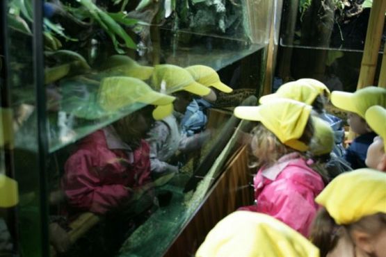 Grafika #59: 04.06.2012 - Wycieczka do Oceanarium w Gdyni cz.II