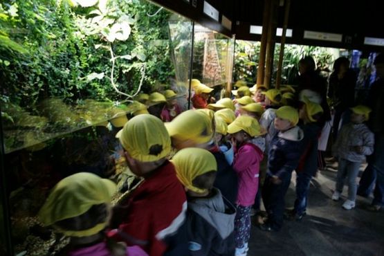 Grafika #60: 04.06.2012 - Wycieczka do Oceanarium w Gdyni cz.II