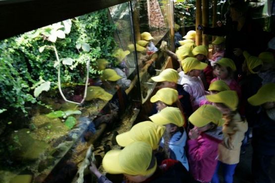 Grafika #61: 04.06.2012 - Wycieczka do Oceanarium w Gdyni cz.II