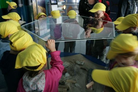 Grafika #62: 04.06.2012 - Wycieczka do Oceanarium w Gdyni cz.II