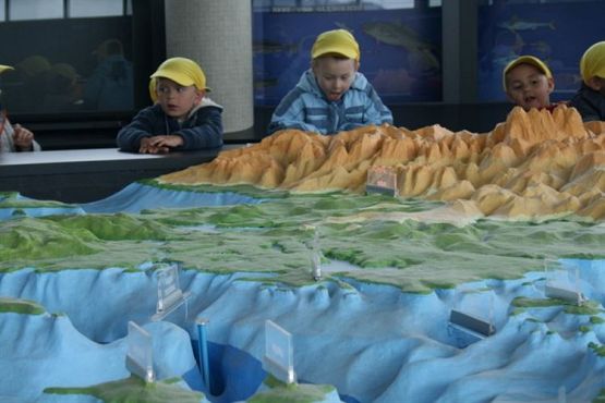 Grafika #66: 04.06.2012 - Wycieczka do Oceanarium w Gdyni cz.II