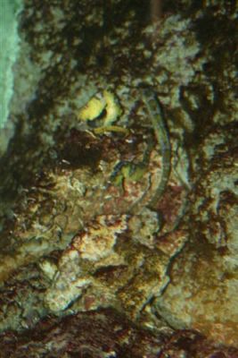 Grafika #69: 04.06.2012 - Wycieczka do Oceanarium w Gdyni cz.II