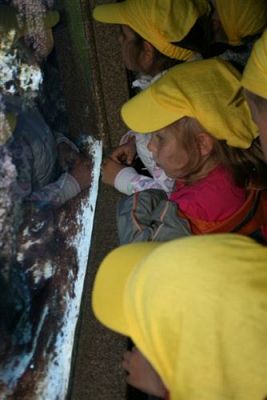 Grafika #73: 04.06.2012 - Wycieczka do Oceanarium w Gdyni cz.II