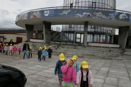 Grafika #81: 04.06.2012 - Wycieczka do Oceanarium w Gdyni cz.II