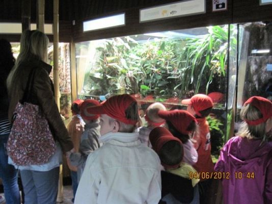 Grafika #18: 04.06.2012 - Wycieczka do Oceanarium w Gdyni cz.I