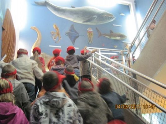 Grafika #22: 04.06.2012 - Wycieczka do Oceanarium w Gdyni cz.I