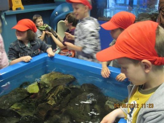 Grafika #44: 04.06.2012 - Wycieczka do Oceanarium w Gdyni cz.I