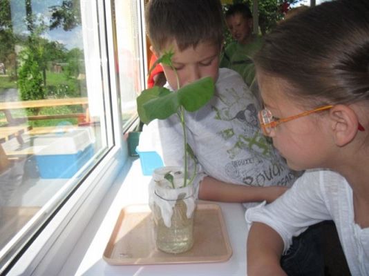 Grafika #0: 30.07.2012 - Jak bawimy się w wakacje