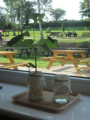 Grafika #18: 30.07.2012 - Jak bawimy się w wakacje