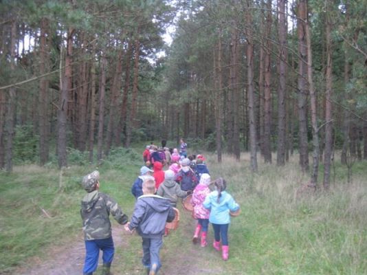 Grafika #8: 27.09.2012 - Wycieczka do lasu