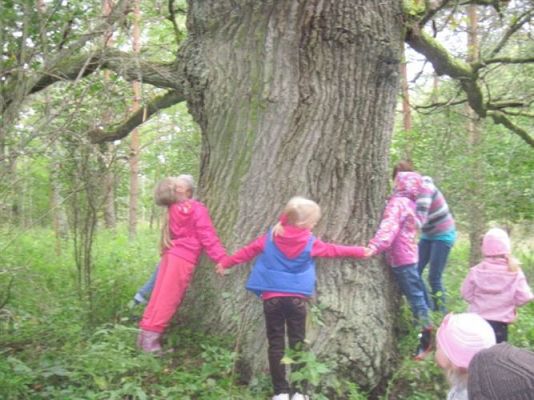 Grafika #15: 27.09.2012 - Wycieczka do lasu