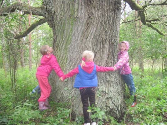 Grafika #16: 27.09.2012 - Wycieczka do lasu