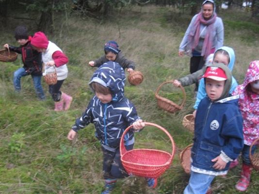 Grafika #20: 27.09.2012 - Wycieczka do lasu