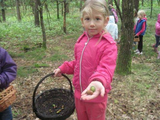 Grafika #24: 27.09.2012 - Wycieczka do lasu