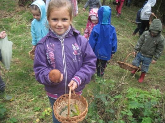 Grafika #29: 27.09.2012 - Wycieczka do lasu