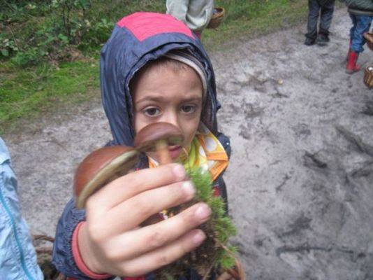 Grafika #44: 27.09.2012 - Wycieczka do lasu