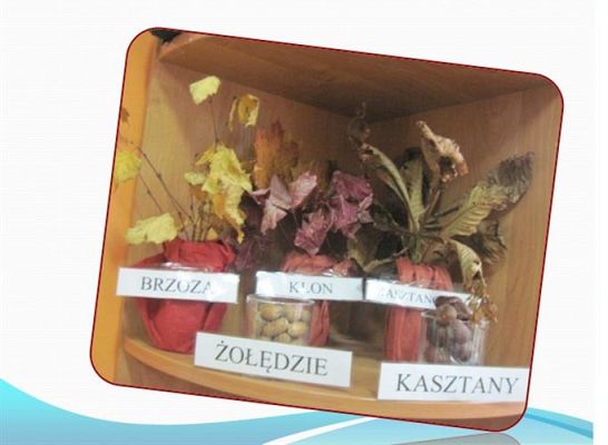 Grafika #34: Jesienne kąciki przyrody