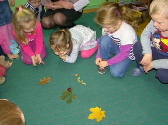 Grafika #12: 21.11.2012 - Międzygrupowy konkurs "Jesienny kącik przyrody"