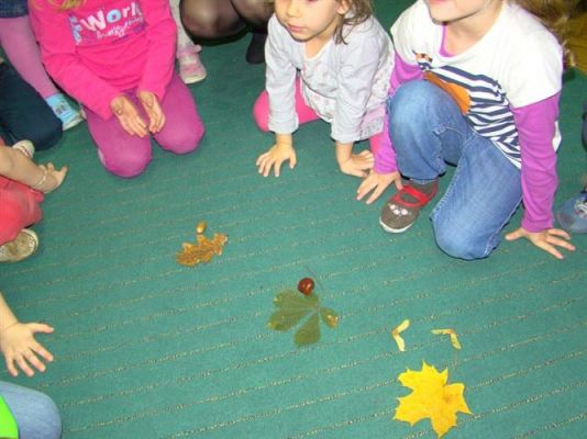 Grafika #13: 21.11.2012 - Międzygrupowy konkurs "Jesienny kącik przyrody"