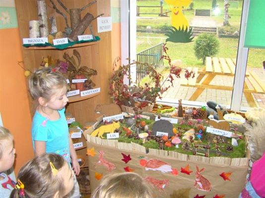 Grafika #16: 21.11.2012 - Międzygrupowy konkurs "Jesienny kącik przyrody"