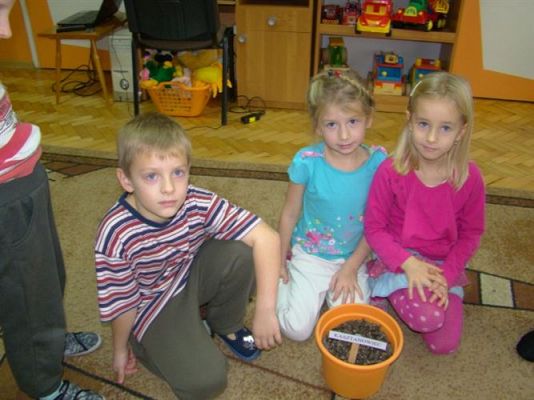 Grafika #18: 21.11.2012 - Międzygrupowy konkurs "Jesienny kącik przyrody"