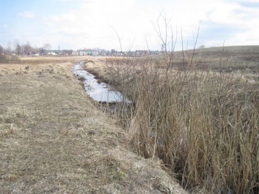 Grafika #20: 10.04.2013 - Patrol ekologiczny po terenie Charbrowa