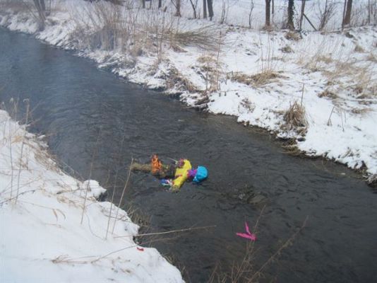 Grafika #12: 21.03.2013 - Żegnamy zimę , witamy wiosnę !