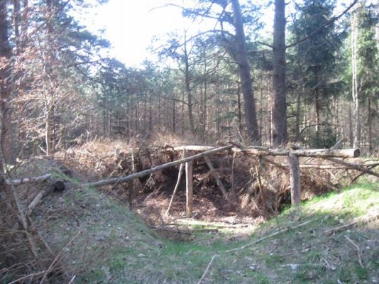 Grafika #16: 22.04.2013 - Obchody Dnia Ziemi