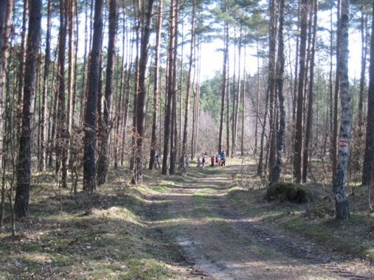 Grafika #21: 22.04.2013 - Obchody Dnia Ziemi