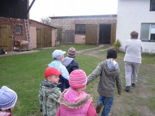 Grafika #3: 19.04.2013 - Maluszki podglądają kury w kurniku