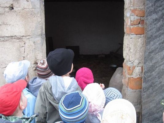 Grafika #4: 19.04.2013 - Maluszki podglądają kury w kurniku