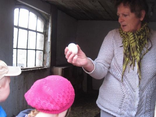 Grafika #9: 19.04.2013 - Maluszki podglądają kury w kurniku