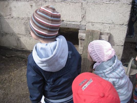 Grafika #11: 19.04.2013 - Maluszki podglądają kury w kurniku