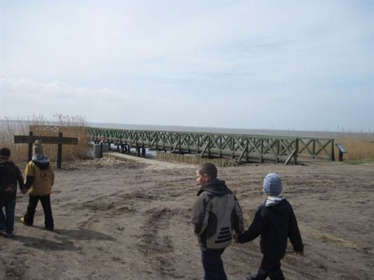 Grafika #69: 17.04.2013 - Zajęcia warsztatowe w Słowińskim Parku Narodowym w Rąbce