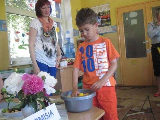 Grafika #8: 12.06.2013 - Międzyprzedszkolny quiz wiedzy o zdrowiu