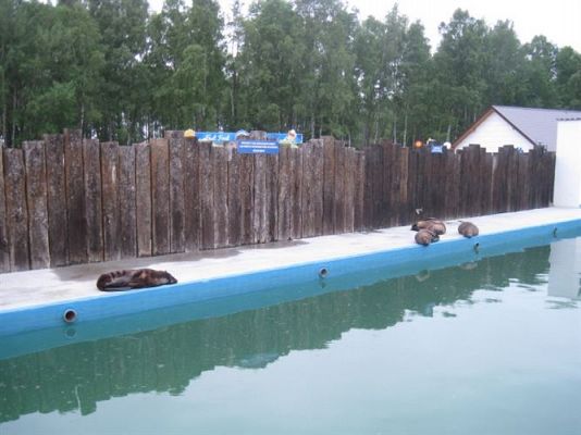 Grafika #10: 04.06.2013 - Wycieczka do Sea Parku w Sarbsku