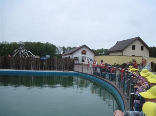 Grafika #12: 04.06.2013 - Wycieczka do Sea Parku w Sarbsku