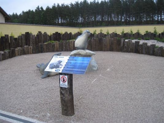 Grafika #13: 04.06.2013 - Wycieczka do Sea Parku w Sarbsku