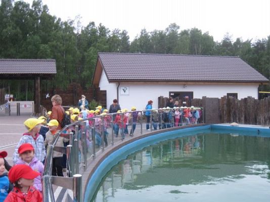 Grafika #14: 04.06.2013 - Wycieczka do Sea Parku w Sarbsku