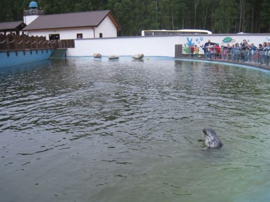 Grafika #21: 04.06.2013 - Wycieczka do Sea Parku w Sarbsku