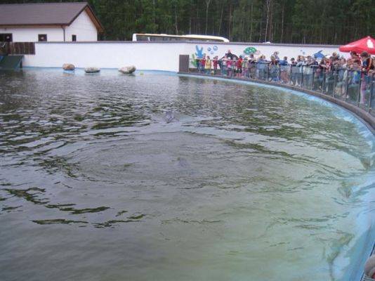 Grafika #22: 04.06.2013 - Wycieczka do Sea Parku w Sarbsku