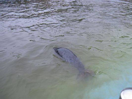 Grafika #23: 04.06.2013 - Wycieczka do Sea Parku w Sarbsku