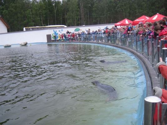 Grafika #24: 04.06.2013 - Wycieczka do Sea Parku w Sarbsku