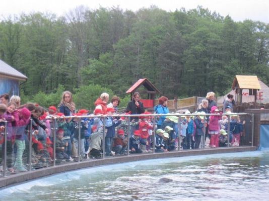 Grafika #26: 04.06.2013 - Wycieczka do Sea Parku w Sarbsku
