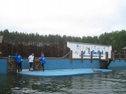 Grafika #27: 04.06.2013 - Wycieczka do Sea Parku w Sarbsku