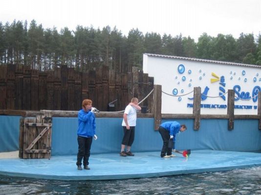 Grafika #28: 04.06.2013 - Wycieczka do Sea Parku w Sarbsku