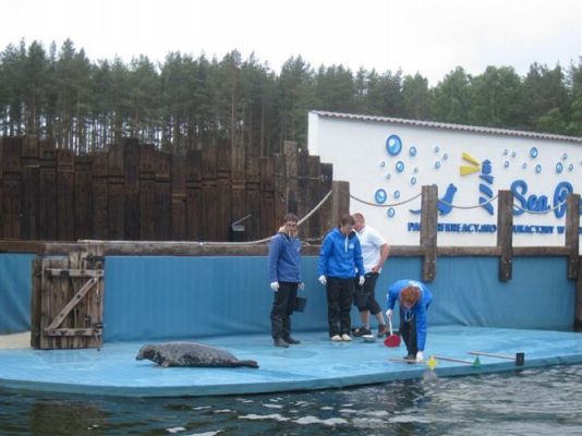 Grafika #30: 04.06.2013 - Wycieczka do Sea Parku w Sarbsku