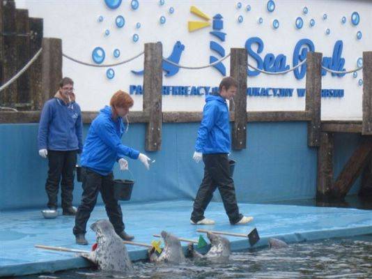 Grafika #31: 04.06.2013 - Wycieczka do Sea Parku w Sarbsku