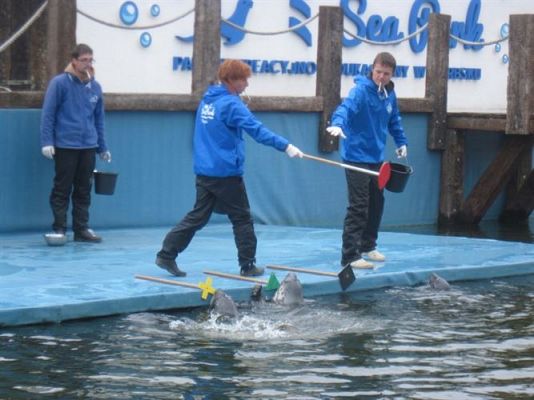 Grafika #32: 04.06.2013 - Wycieczka do Sea Parku w Sarbsku